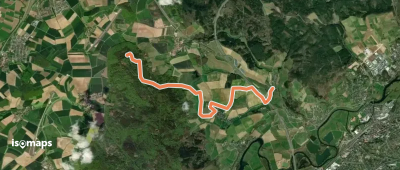 Schönsreuther Weg