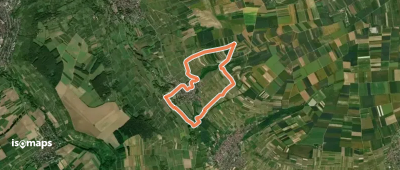 Ingelheim: Panoramaweg