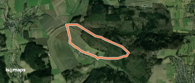 Rundwanderweg Mossauer Höhe 5: Roßbacher-Weg
