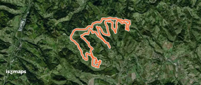 SENTIERO tra BOSCHI e VIGNE del "LOAZZOLO D.O.C."
