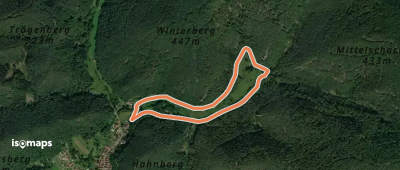Rundwanderweg Erfweiler 54