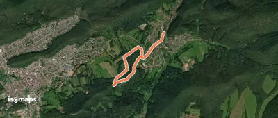 Rundwanderweg Erfweiler 61