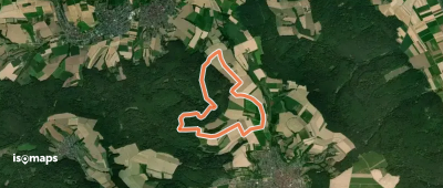 Rundwanderweg Großostheim Sausteige 5: Tannengraben-Weg