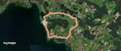 Nordic Walking Ising