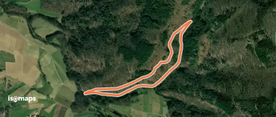 Rundwanderweg Rimbach An der Tränke 3: Talweg mit Naturlehrpfad