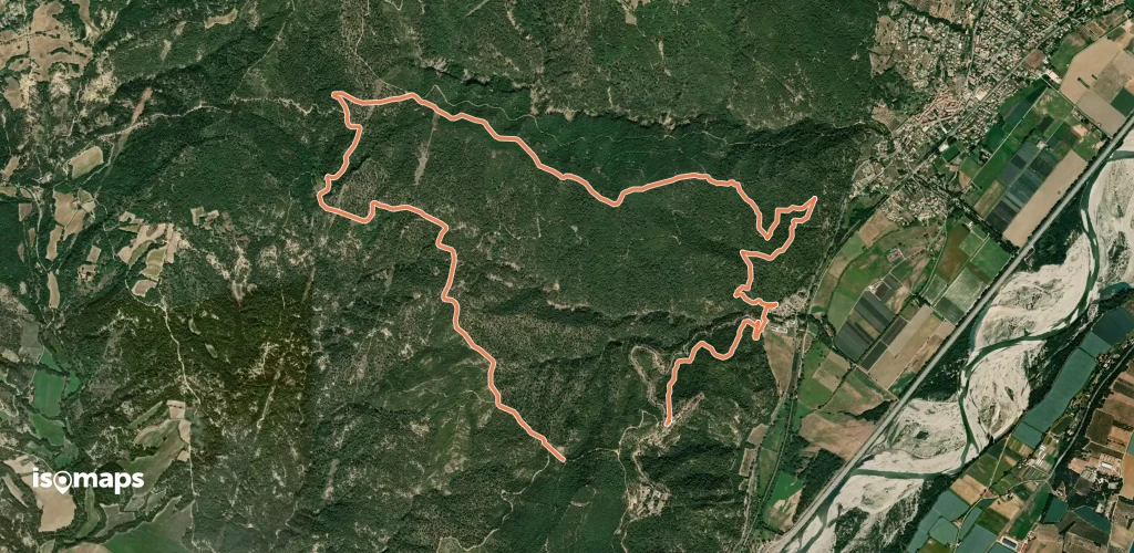 La Forêt du Prieuré