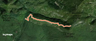 OSM Route 6312465