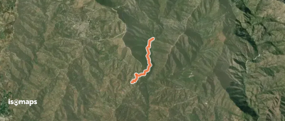 Ruta del Acebuchal