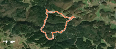 Rundweg Hollenberg 3 grün