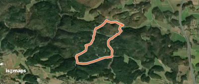 Rundweg Hollenberg 2 grün