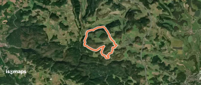 Rundweg Hollenberg 4 grün