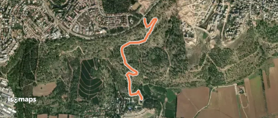 שביל יער בלפור