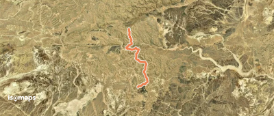 שביל עריף - כרכום