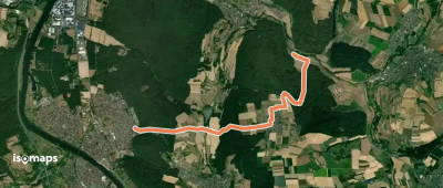 Ortswanderweg Erlenbach 1