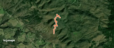 OSM Route 6491442