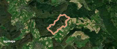 Rundwanderweg Fichte Glaswald