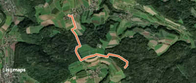 Ober Baldingen - Althau