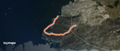 Gul Rute