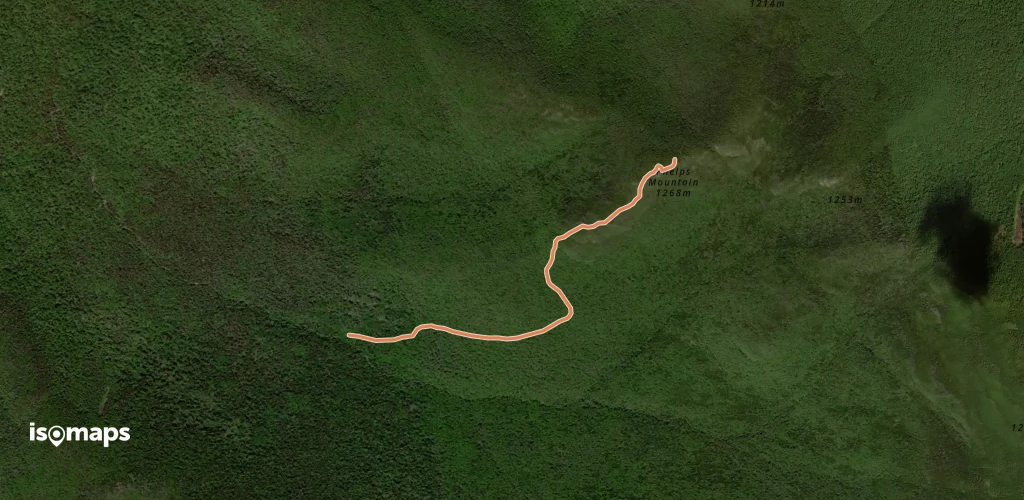 Phelps Mountain Trail