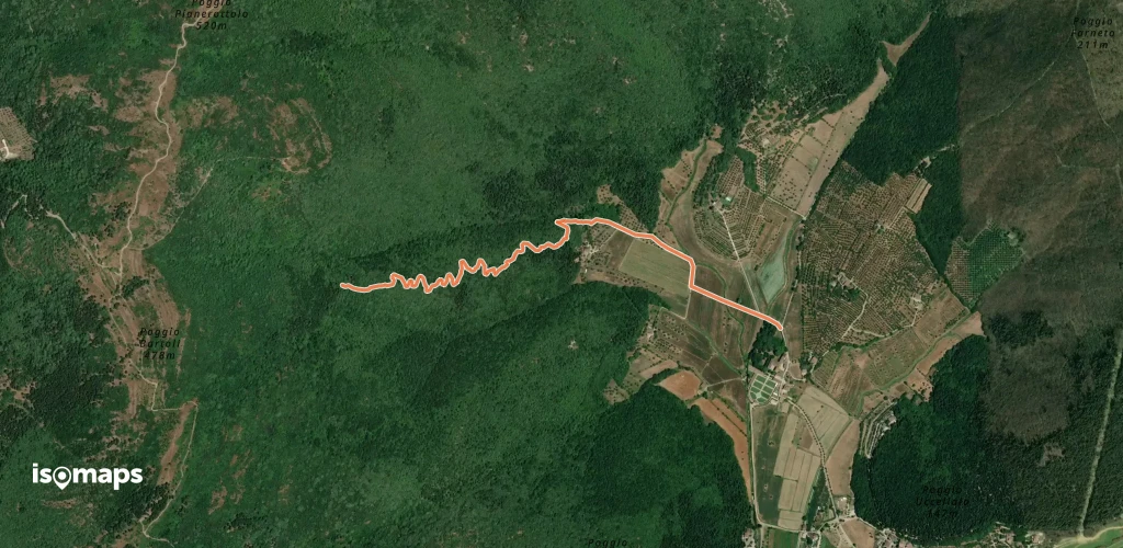 OSM Route 6619849
