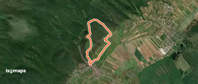 Kelten- und Wein-Rundgang