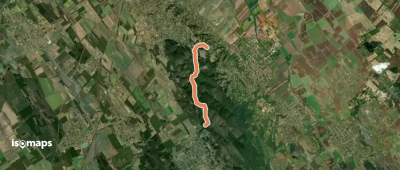 P+ (Győrújbarát – Tényő)