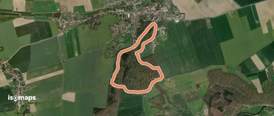 Rundweg Droyßiger Forst