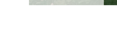 443