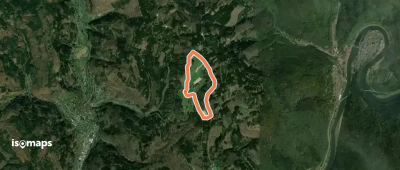Rundwanderweg Neckarsteinach Kreuzschlag 2: Pfalzwald-Weg