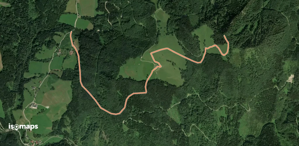 Wanderweg 491