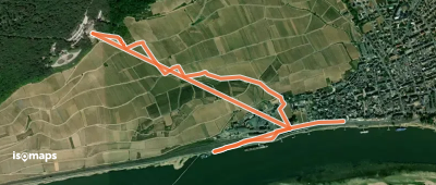 Rheinsteig-Zuweg Rüdesheim (West)