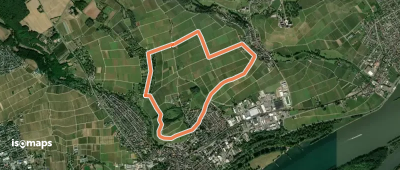 Geisenheimer Rundweg K