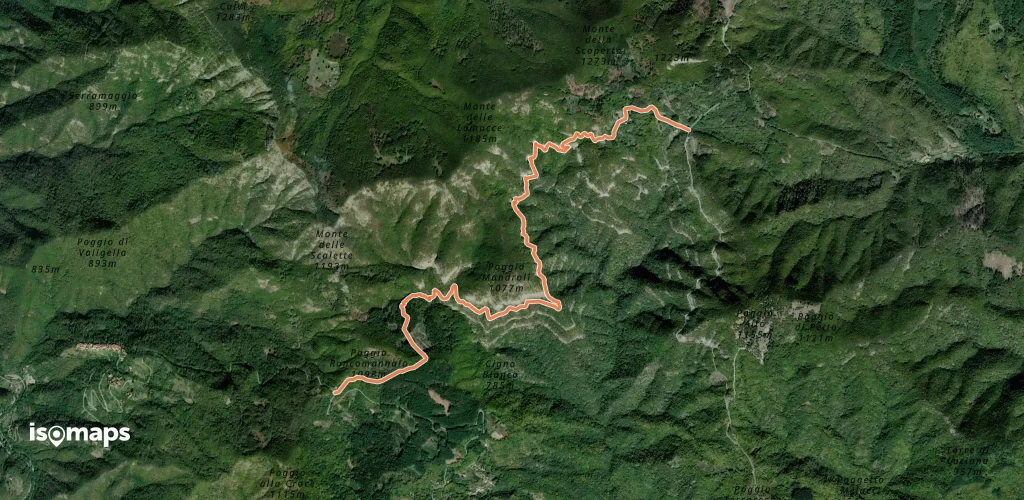 OSM Route 6818400