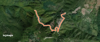 OSM Route 6818501