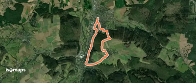 Rundwanderweg Bad König 6: Momart-Weg