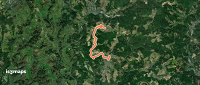 Wanderweg B1 (Birken-Honigsessen)