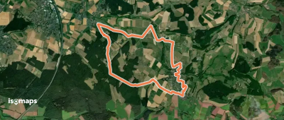 Dietershausen Nordic Walking 6