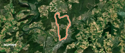 Rundwanderweg Mosbach 5: Hasbach-Weg