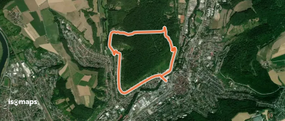 Rundwanderweg Mosbach 4: Henschelberg-Weg