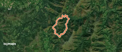 Aritzakun