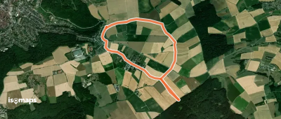 Rundwanderweg Selbachwald 1: Bergfeld-Weg