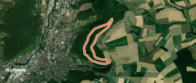 Rundwanderweg Knopfwald 1: Knopfwald-Weg