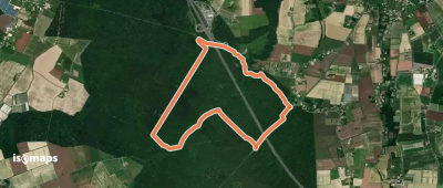 Le Mas-d'Agenais - Les princes des sous-bois en forêt du Mas (Variante) - 5.4 km