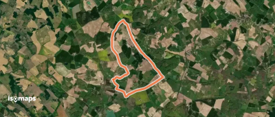 Villebramar, la visite des tulipes agenaises