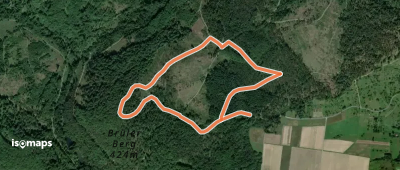Wanderwege Hausberg - Hirschkäfer