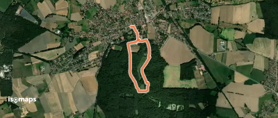 Weg 2 - grün - Wanderung im Loccumer Klosterwald
