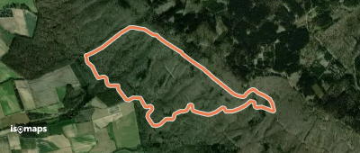 L2 Rundwanderweg Lauenau Nr. 2
