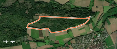 AE7 Rundwanderweg auf dem Lüningsberg zwischen Waldquelle und Ahorn