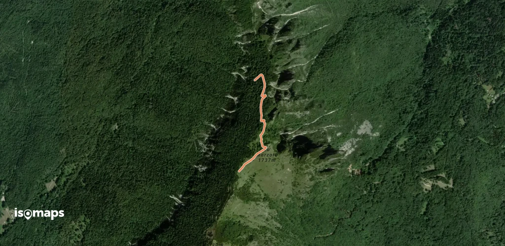 OSM Route 7080418