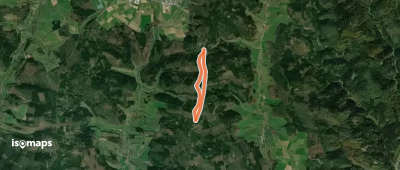 Rundwanderweg Oberzent Sensbacher Höhe 3: Gickelsberg-Weg
